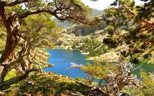 Landscape photography nature lake mountains trees summer Custom Gaming Mat Desk
