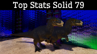 Oeuf/Bébé/Adulte Rock Drake Solide #79 Pour ARK: Ascended - Serveur PVE, Livraison Rapide Incluse