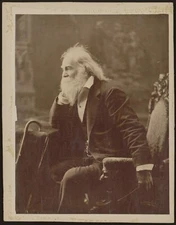 8" x 10"  1881 Photo Walt Whitman, three-quarter-length portrait