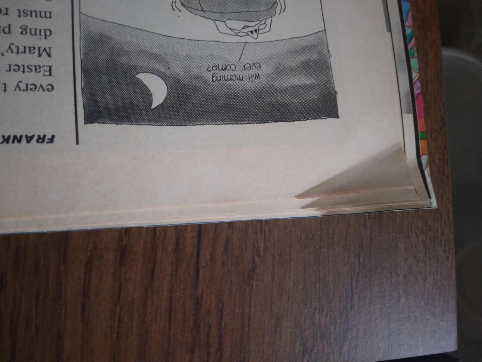 Picture 4 of 5