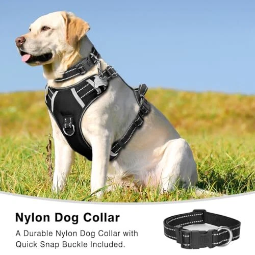 Dog Harness No Pull, Pet Harnesses with Dog Collar, Adjustable Large Black Dog Harness No Pull, Pet Harnesses with Dog Collar, Adjustable Large Black