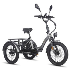 Fafrees F20 Mate Elektro Dreirad 500W 48V 21AH 3-Rädern E Fahrrad Tricycle 30kmh