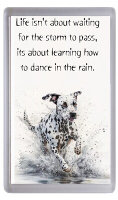 Kühlschrankmagnet Dalmatiner Hund ''Tanzen im Regen'' Gedicht