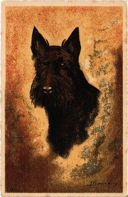 CPA AK Schnauzer DOGS (1387660)