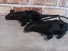 Foto 4 di 4