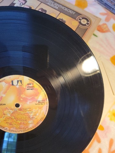 Jan & Dean LP 33 Rpm Double LP Gatefold (Anthology Album) - Picture 16 of 24