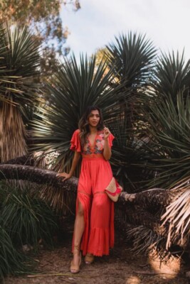 chinese dress ladies CLEOBELLA Indira Maxi Dress In Avalon