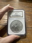 2008-W American Silver Eagle S$1 NGC MS70 (Brown Label)