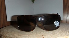smith brooklyn sunglasses