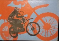 Evel Knievel - Contemporary Pop Art  1976 - Oil Canvas Painting 