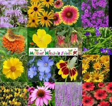 Wildflower Mix NATIVE ALL PERENNIAL Butterflies BEES Heirloom Non-GMO 1000 Seeds