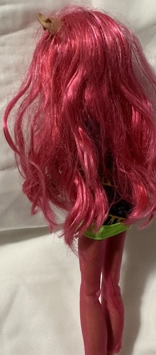 Monster High 13 Wünsche Howleen Wolf Puppe 13 Wünsche - Bild 6 von 6