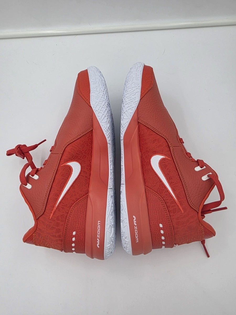 Men's 10.5 Nike Zoom LeBron NXXT Gen TB Basketball Shoes