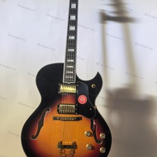 Semi-Hollow Body Electric Guitar HH Pickups Stainless Steel Fret Gold Part Stock