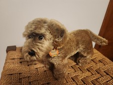 vintage Steiff Raudi wired haired Dachshund, tag, mohair, no button