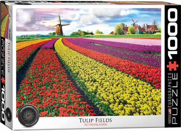 Tulpenfeld In Holland - 1000 Teile Puzzle Im Format 68X48 Cm-image