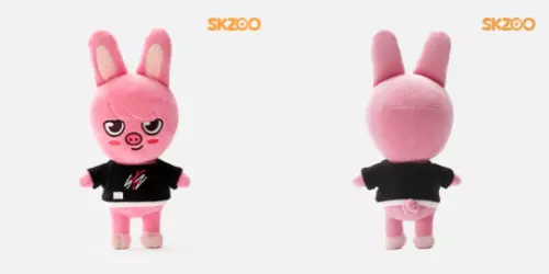 Stray Kids Skzoo OFFIZIELLES Kpop Streuner Kinder Plüschtiere POPUP Puppe Spielzeug Geburtstagsgeschenk- - Bild 31 von 32