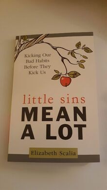 Little Sins Mean a Lot: Kicking Our Bads Habits Bef... | Buch | Zustand sehr gut