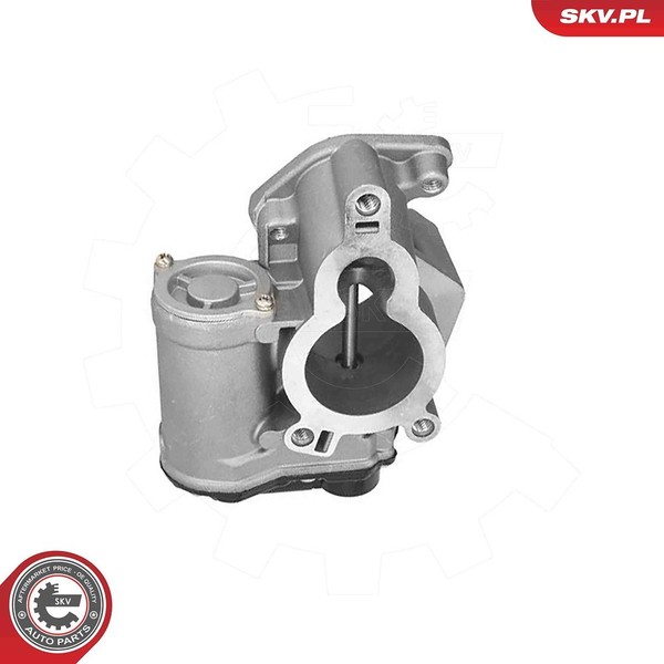 Esen Skv Agr-Ventil U.A. FüR Nissan, Opel, Renault, Vauxhall-image