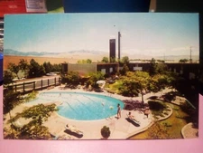 Albuquerque NM White Winrock Motor Hotel swimming pool sunbathing motel 