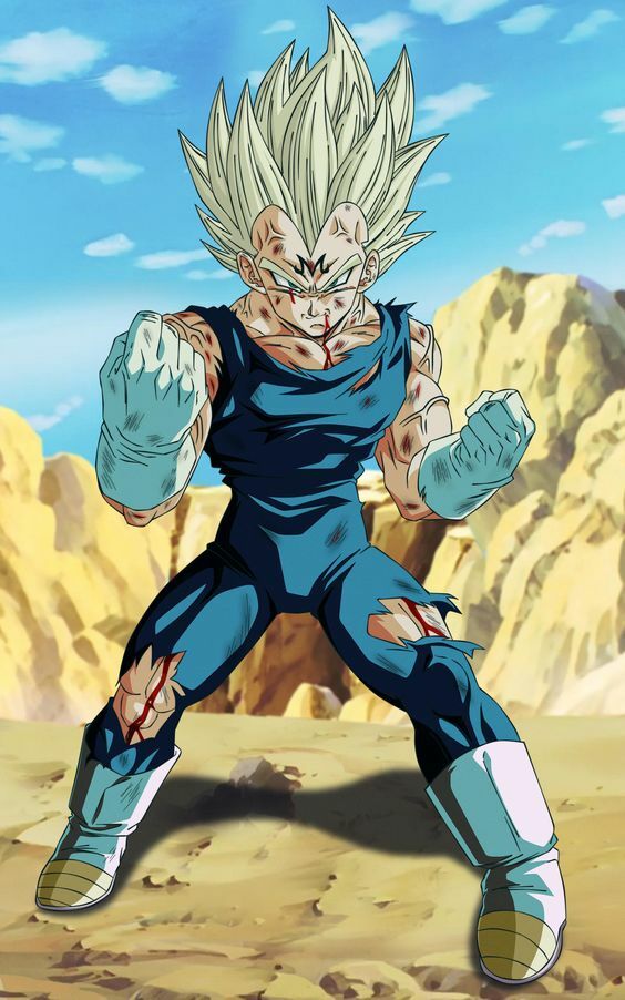 Toile d'art Dragon Ball Z Majin Vegeta 50x70 cm en canvas Premium de salon
