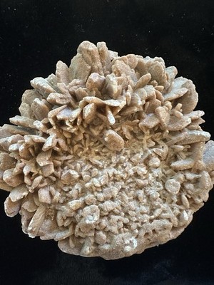 Desert Rose Gypsum Selenite Crystal Cluster 12.6 Oz Sand Rose Mineral Specimen