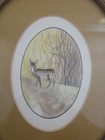 Oval Deer Picture — photo 2