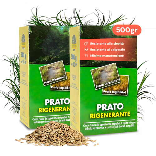 Prato Sport 500g – Semi Per Tappeto Erboso Robusto E A Crescita Rapida, Ideale Per Giochi E Calpestio Intenso