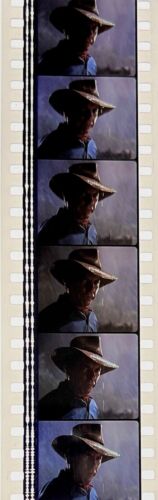 Jurassic Park 1993 Very Rare Unmounted 35mm Film Cells - Steven Spielberg - Picture 5 of 142