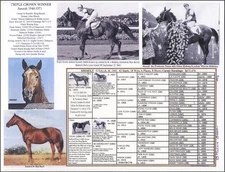 Horse Racing 7th Triple Crown winner ASSAULT King Ranch Texas picture pedigree