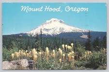 Postal de colección Mt Hood Oregon 1962 oso flores de hierba Frank Silkey