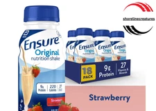 Ensure Original Meal Replacement Nutrition Shake, Strawberry, 8 fl oz, 18 Count