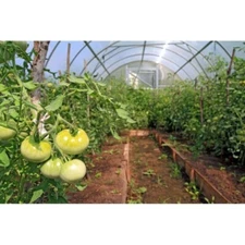 Vapor Barrier Supply -1 Year UV Resistant 6 mil Clear Nursery Greenhouse Plastic
