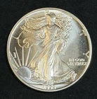1990 American Silver Eagle 1 Oz .999 Fine Coin, No Reserve #01