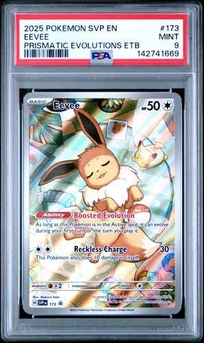 2025 POKEMON SVP EN-SV BLACK STAR PROMO #173 EEVEE PSA 9