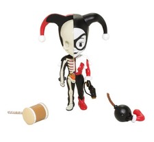 XXRAY MIGHTY JAXX DC Comics Harley Quinn Funny Anatomy Toy by Jason Freeny