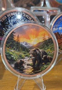 5 oz .999 Copper Round Grizzly Bear Family Sunset Limited Edition In Capsule