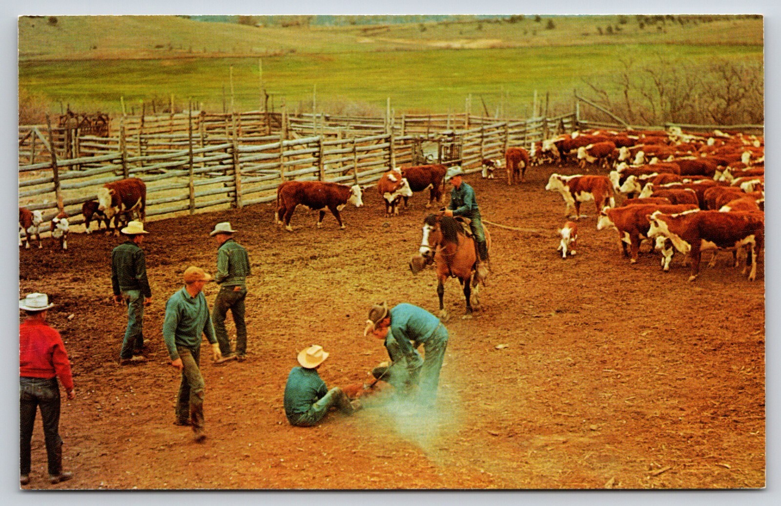 Postcard Branding Time Horse Riding 