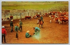 Postcard Branding Time Horse Riding 