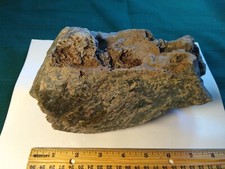 Premium Oregon Moss Agate Rough- Over 6-3/4 lbs. total weight