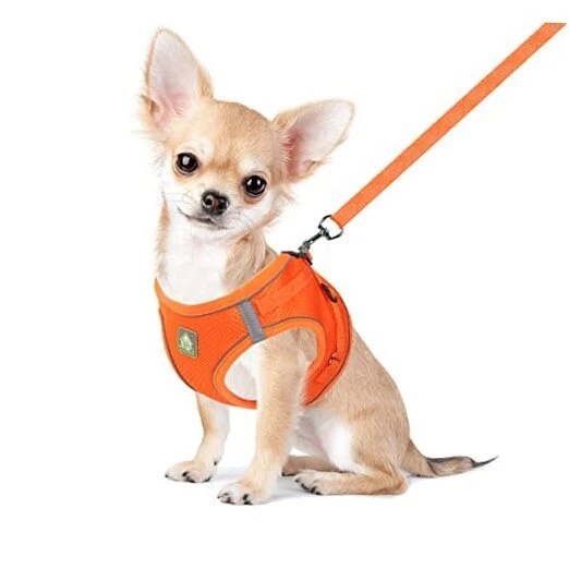 Dog Harness and Leash Set, No Pull Breathable XS (Chest 10.2-11.4'') Orange
