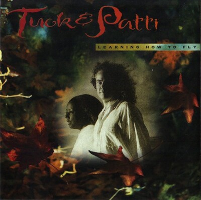 TUCK & PATTI - Learning How To Fly - CD 1995 - sehr guter Zustand
