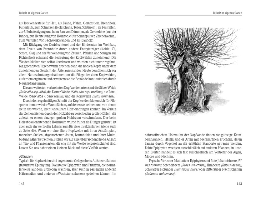 Thumbnail - Lebensraum Totholz Werner David