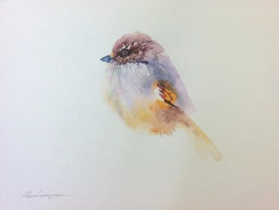 Siberian Jay,  Birds, Watercolor artwork, Handmade, Original painting on paper