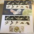 GB STAMPS LTD EDN BENHAM 500 CLUB FIRST DAY COVER 2003 BIRDS OF PREY