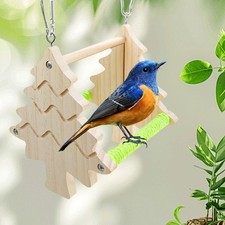 Parrot Double Sided Mirror Perch Toy Bird Cage Accessory Training Decorative