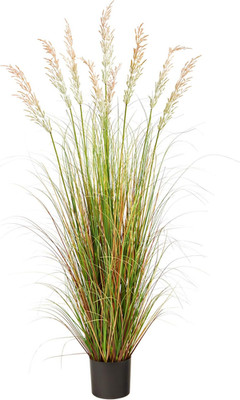 5.5Ft. Plume Grass Artificial Plant