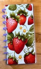 Strawberry Cover Set 4 use w Skinny Classic H...