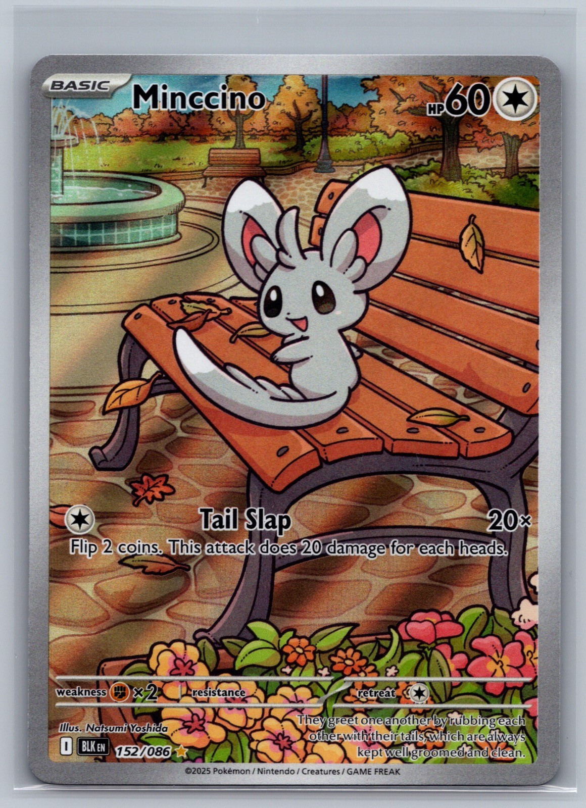 Minccino 152/086 Holo Illustration Rare Black Bolt Pokemon Near Mint