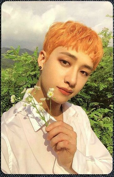 K-POP・アジア LeeKnow NOEASY Stray Kids NOEASY NOISY album official photocard double side
